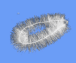 ���w��������